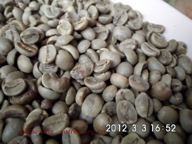 咖啡豆图片 越南阿拉比卡咖啡豆arabica