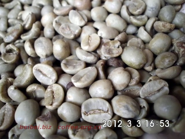 咖啡豆图片 越南阿拉比卡咖啡豆arabica