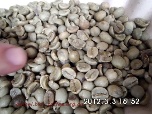 咖啡豆图片 越南阿拉比卡咖啡豆arabica