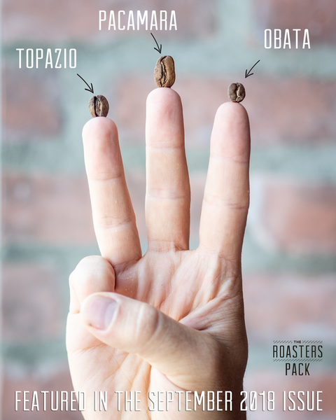 Topazio, Pacamara & Obata Coffee Varietal