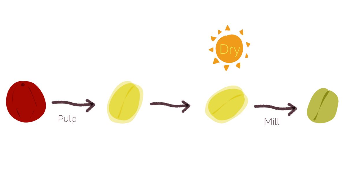 Honey-Process