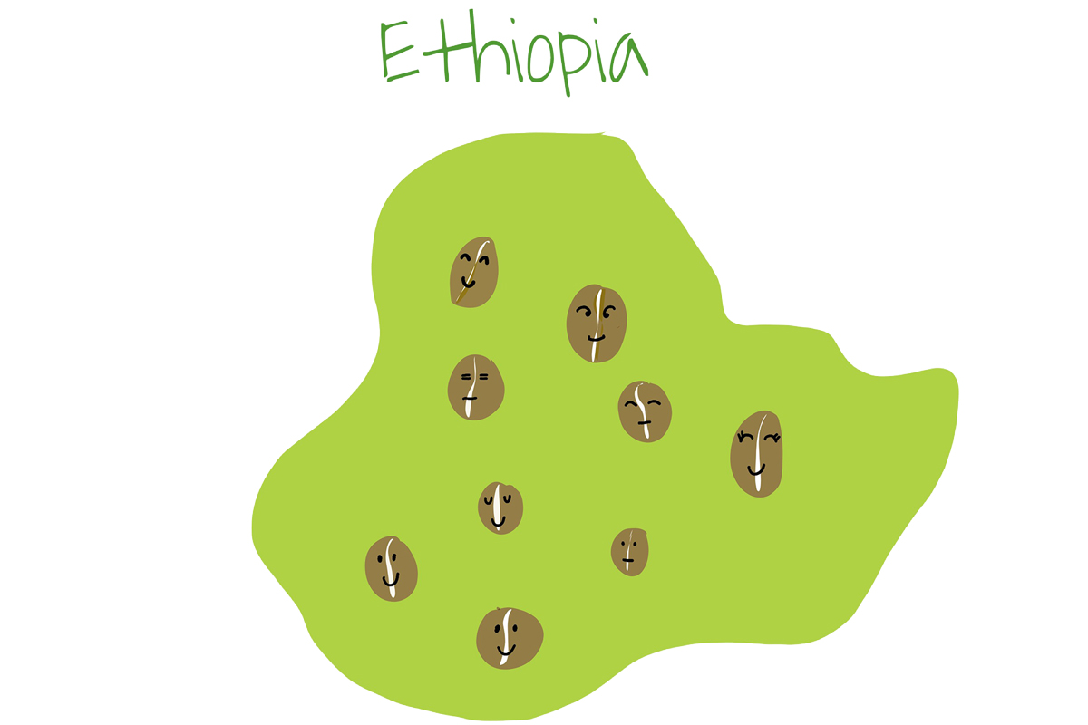 Ethiopia-Home-of-Coffee